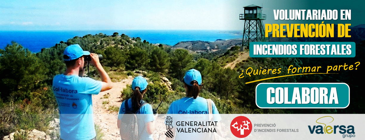 Voluntariado Forestal